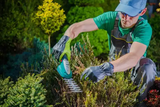 landscaping services Windy Hills